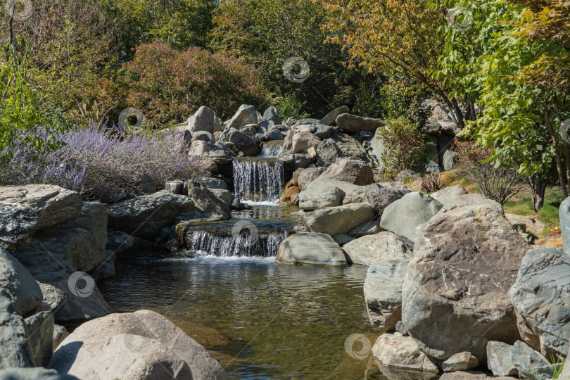 Скачать Тройной водопад в японском саду. Вода падает с высоты 7 метров в искусственное каменистое русло реки. Крупный план. Русло реки делится на три потока, которые превращаются в водопады. фотосток Ozero