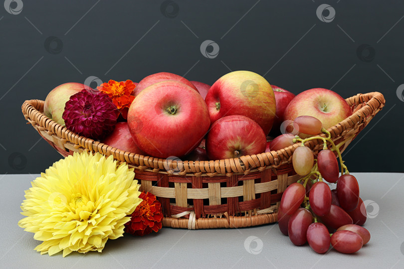 Скачать Осенний натюрморт - яблоки в корзине, виноград и яркие цветы фотосток Ozero