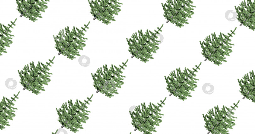 Скачать Трехмерный узор рождественской елки в движении на белом фоне. праздник, природа, зима, Рождество. фотосток Ozero