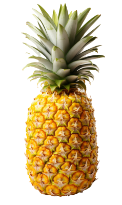 [object Object] undefined