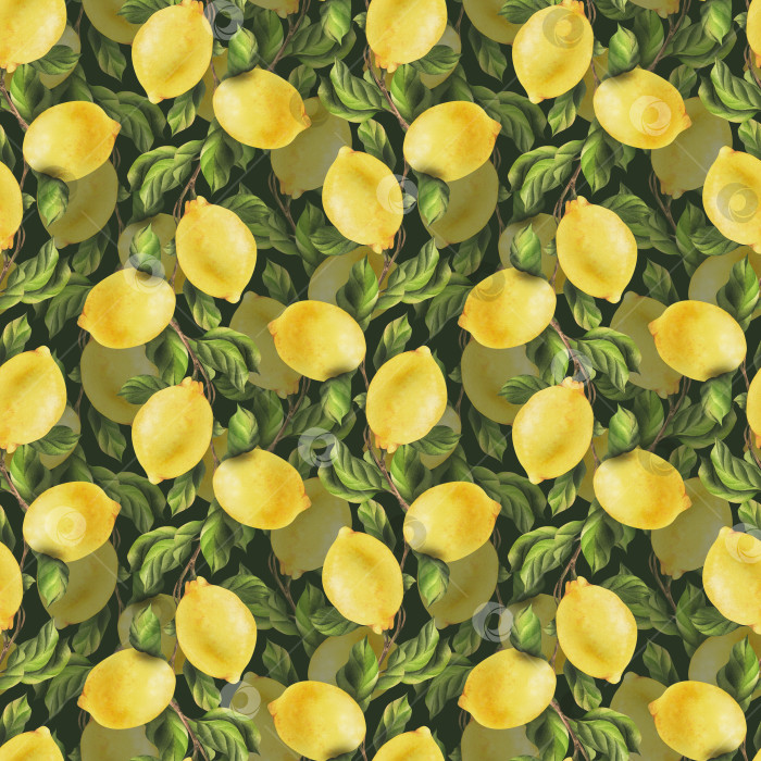 Скачать Лимоны желтые, сочные, спелые, с зелеными листьями, цветочными бутонами на ветках, целые и дольками. Акварельная ботаническая иллюстрация, нарисованная от руки. Бесшовный узор на зеленом фоне фотосток Ozero