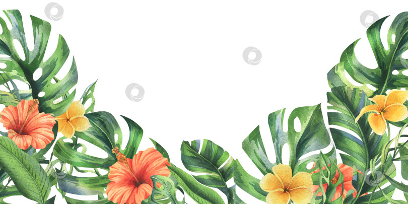 Скачать Листья тропической пальмы, монстеры и цветы плюмерии, гибискуса, яркие и сочные. Ботаническая иллюстрация, нарисованная акварелью от руки. Шаблон, рамка, выделенная на фоне. фотосток Ozero