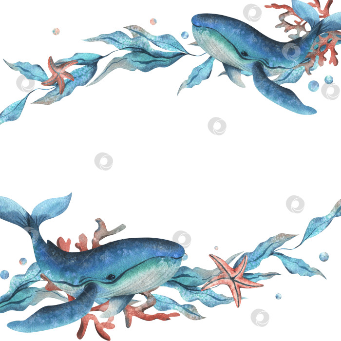 Скачать Клипарт подводного мира с морскими животными - китами, морскими звездами, пузырьками, кораллами и водорослями. Рисованная акварельная иллюстрация. Рамка, шаблон, выделенный на фоне. фотосток Ozero