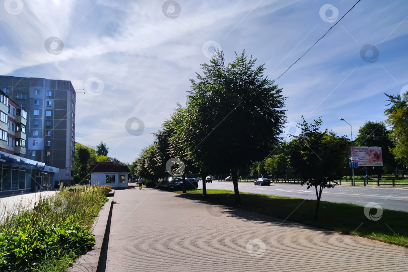 Скачать БЕЛАРУСЬ, НОВОПОЛОЦК - 18 августа 2020 года: Тротуар с деревьями на дороге в городе фотосток Ozero