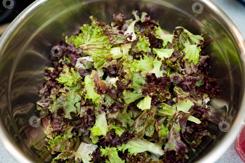 Скачать Смешайте свежие листья салата-латука в металлической миске фотосток Ozero