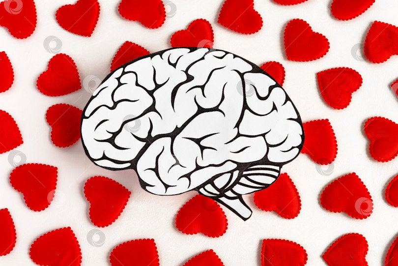 Скачать Человеческий мозг на фоне множества красных сердечек. Здоровье, любовь и медицина. фотосток Ozero
