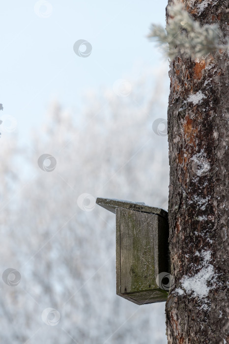 Скачать Скворечник на стволе дерева в зимнем парке в морозную погоду. фотосток Ozero