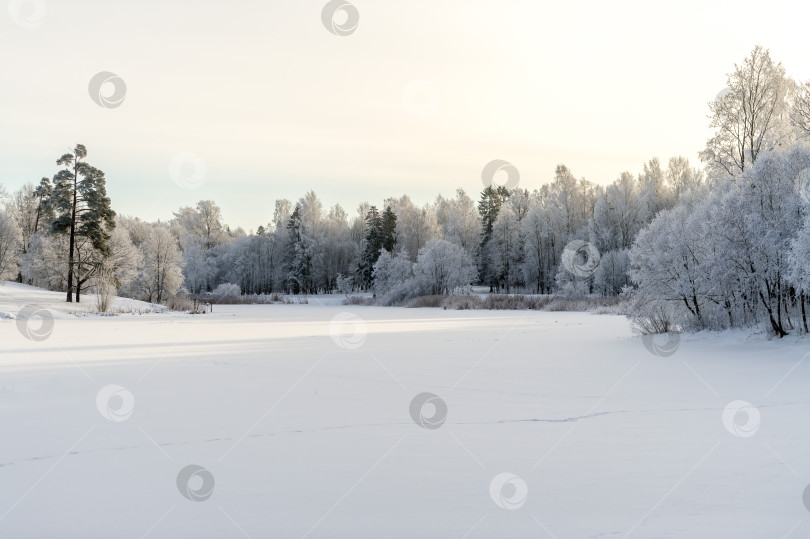 Скачать Зимний парк в солнечный день. Красивый зимний пейзаж. фотосток Ozero