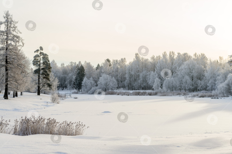 Скачать Зимний парк в солнечный день. Красивый зимний пейзаж. фотосток Ozero