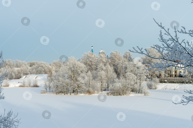 Скачать Гатчинский монастырский парк зимой. Россия, Гатчина, январь 2024 года. фотосток Ozero