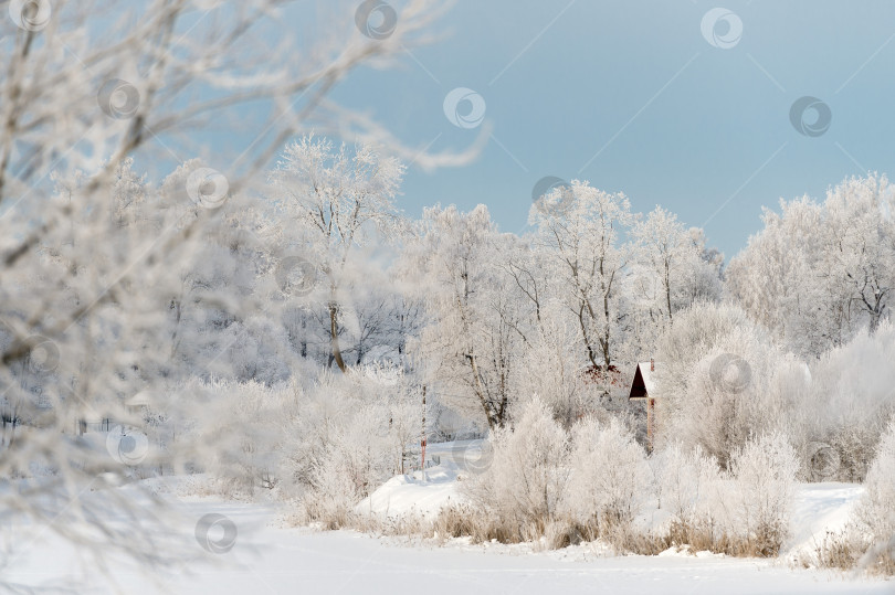 Скачать Солнечный зимний день в парке и деревья в снегу. фотосток Ozero