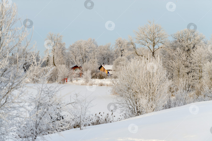 Скачать Солнечный зимний день и мороз. Вид на Монастырский парк. Россия, Гатчина, январь 2024 года. фотосток Ozero