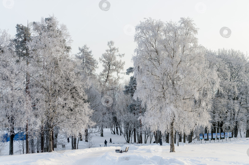 Скачать Зимний парк в солнечный день. Красивый зимний пейзаж. фотосток Ozero