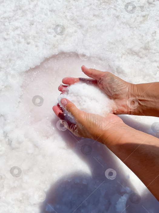 Скачать Женские руки с солью в ладонях на фоне соленого озера. фотосток Ozero