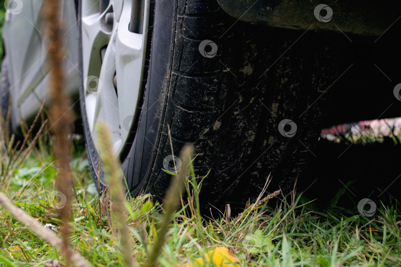 Скачать Колесо автомобиля на зеленой траве крупным планом фотосток Ozero