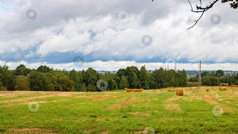 Скачать Убранное поле у леса под пасмурным небом фотосток Ozero