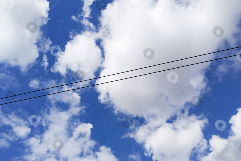 Скачать Электрические провода на фоне голубого неба фотосток Ozero