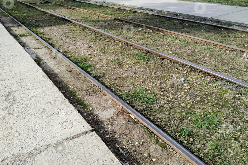 Скачать Зеленая трава на трамвайных рельсах крупным планом фотосток Ozero