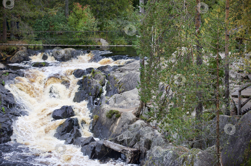 Скачать Рускеальские водопады на фоне зелёного леса, лето, природа Карелии. фотосток Ozero
