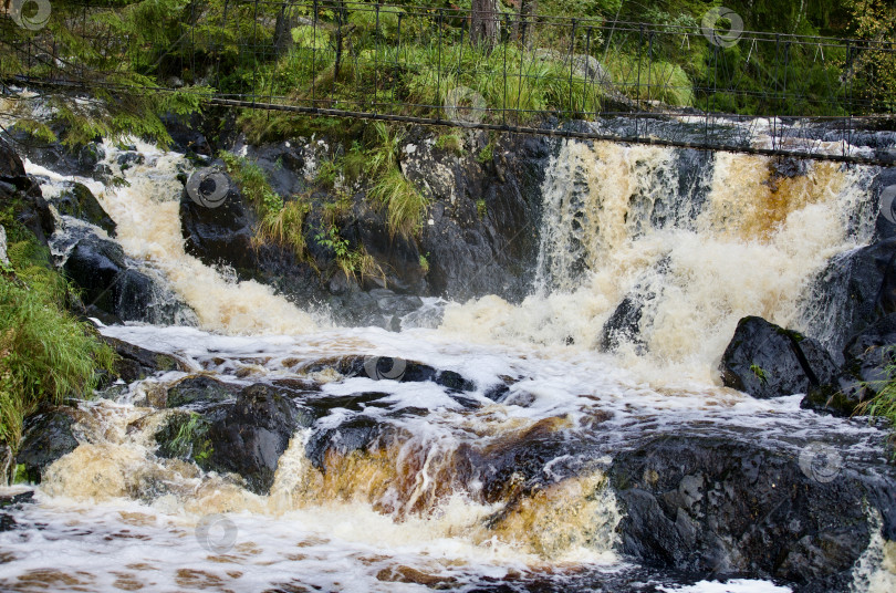 Скачать Рускеальские водопады на фоне зелёного леса, лето, природа Карелии. фотосток Ozero