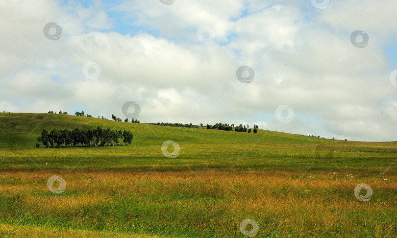 Скачать Пологие склоны холма, поросшие редкими деревьями, на краю живописной степи под летним пасмурным небом. фотосток Ozero