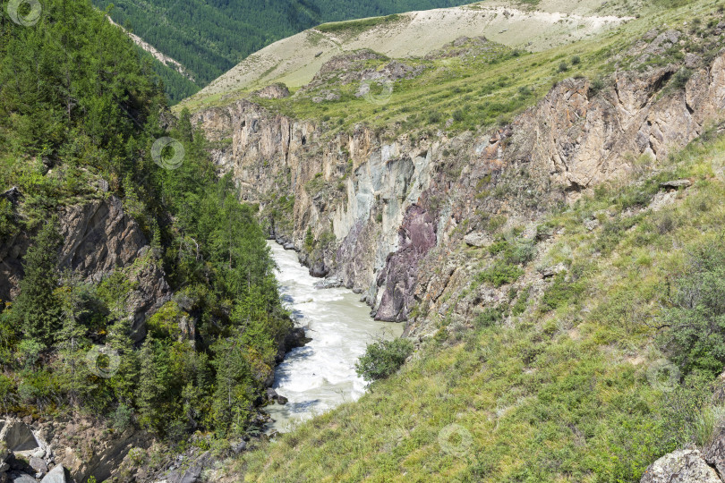 Скачать Река Чуя в узком каньоне. Алтай, Сибирь, Россия. фотосток Ozero