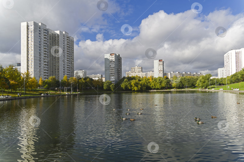 Скачать Пруд в Москве. фотосток Ozero