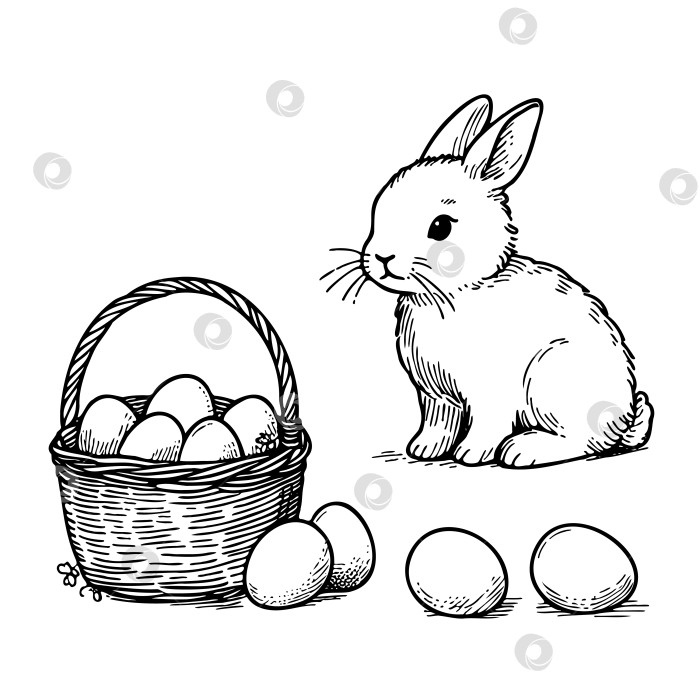 Скачать Пасхальные винтажные векторные иллюстрации. Нарисованный от руки эскиз кролика, праздничные яйца в корзине. счастливой пасхи. фотосток Ozero