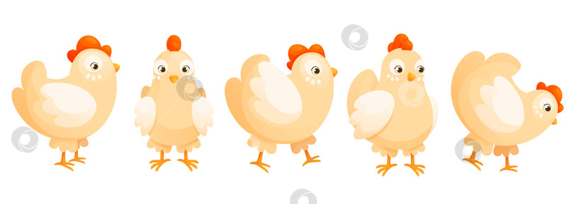 Скачать Мультяшный домашний цыпленок в разных позах, милый набор. фотосток Ozero