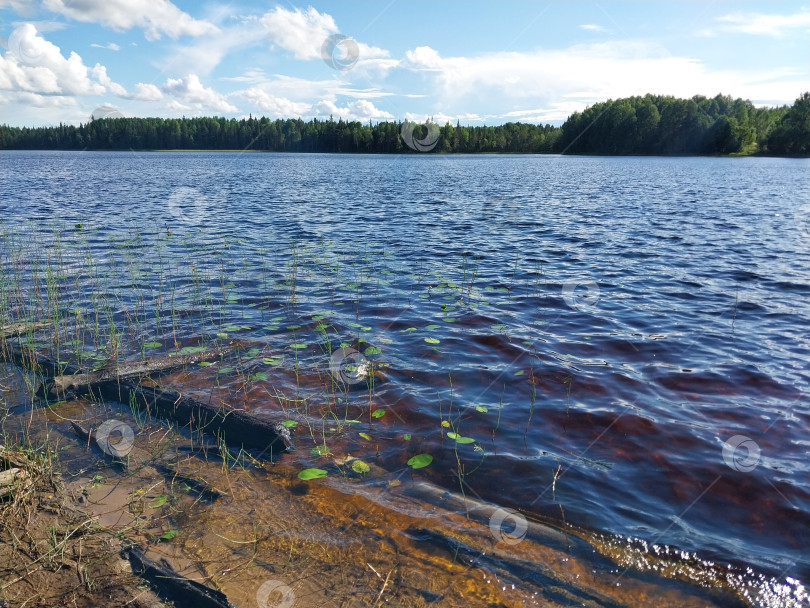 Скачать Место для рыбалки фотосток Ozero