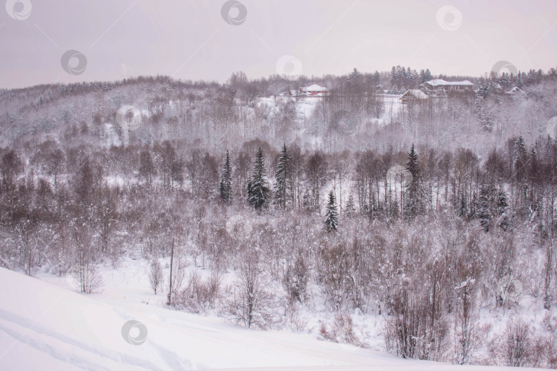 Скачать Отдых в Малые Карелы фотосток Ozero