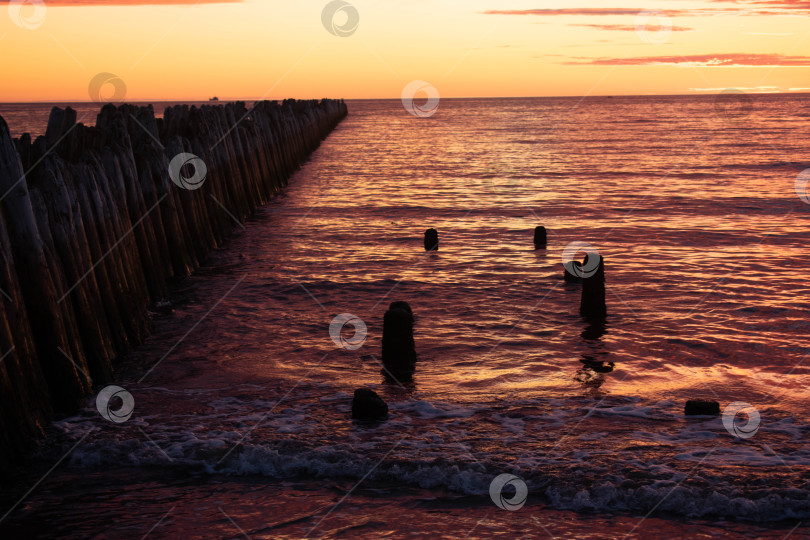 Скачать Море на закате фотосток Ozero