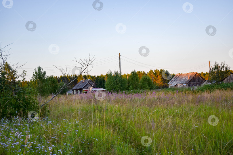 Скачать Лето в деревне фотосток Ozero