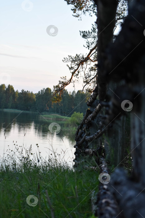 Скачать В доль забора фотосток Ozero