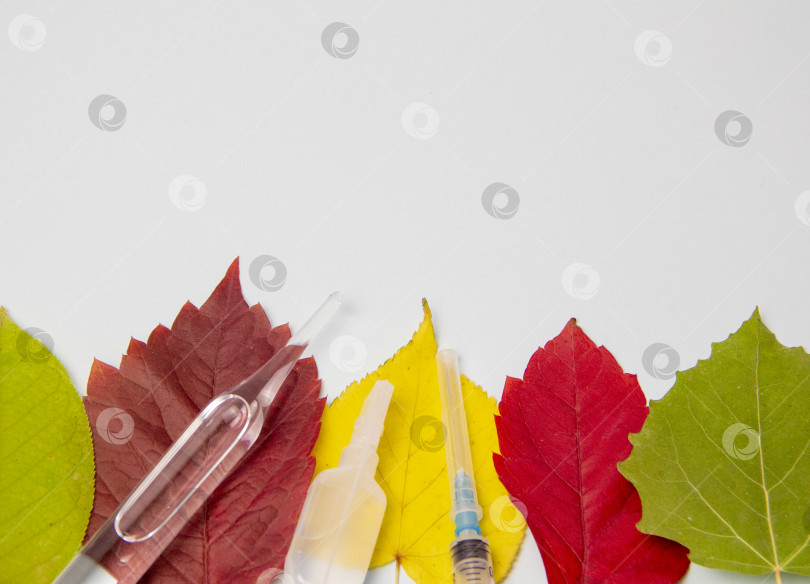 Скачать шприц, ампула и сухие осенние листья на белом фоне фотосток Ozero