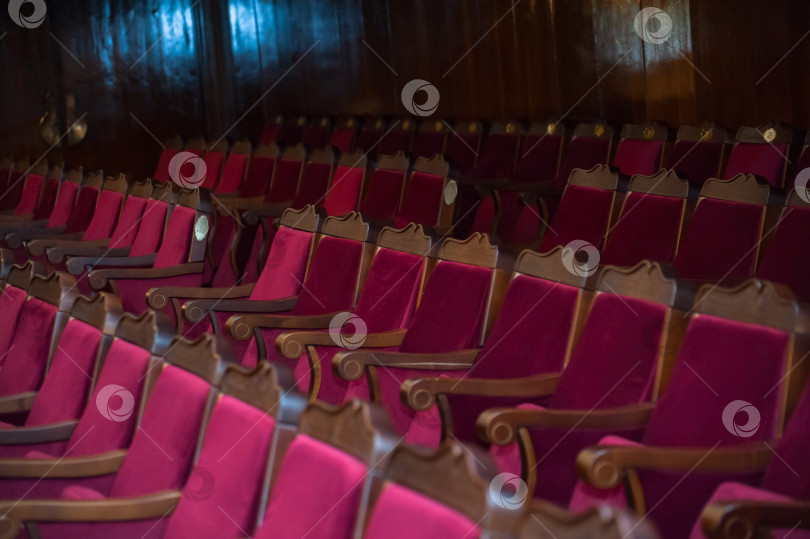 Скачать вид на спинки стульев с номерами в концертном зале фотосток Ozero