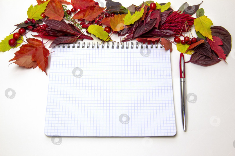Скачать Чистый блокнот, окруженный разноцветными осенними листьями фотосток Ozero