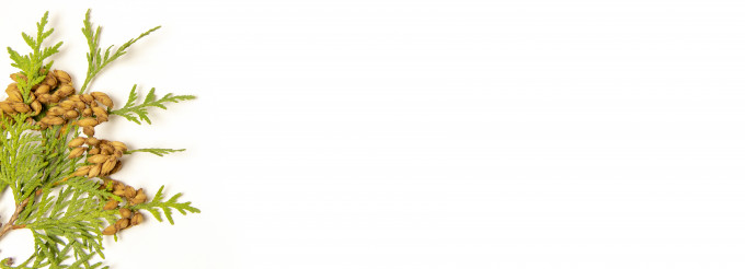 [object Object] undefined