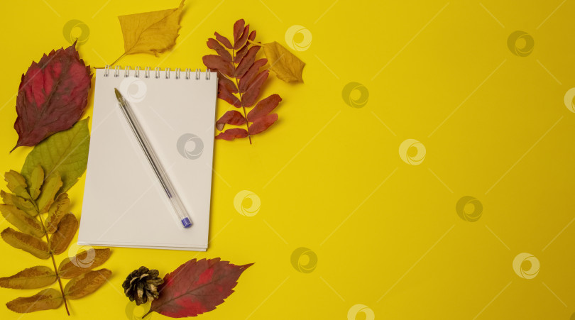 Скачать Чистый открытый блокнот с ручкой и осенними листьями на желтом фоне. фотосток Ozero
