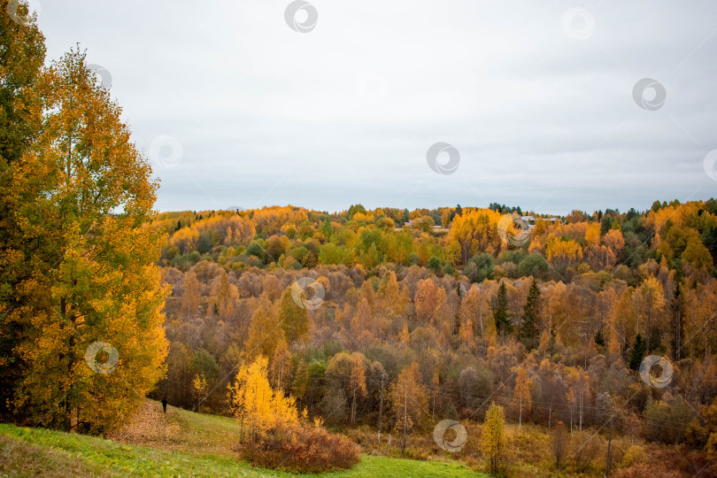 Скачать Осень в Малые Карелы фотосток Ozero