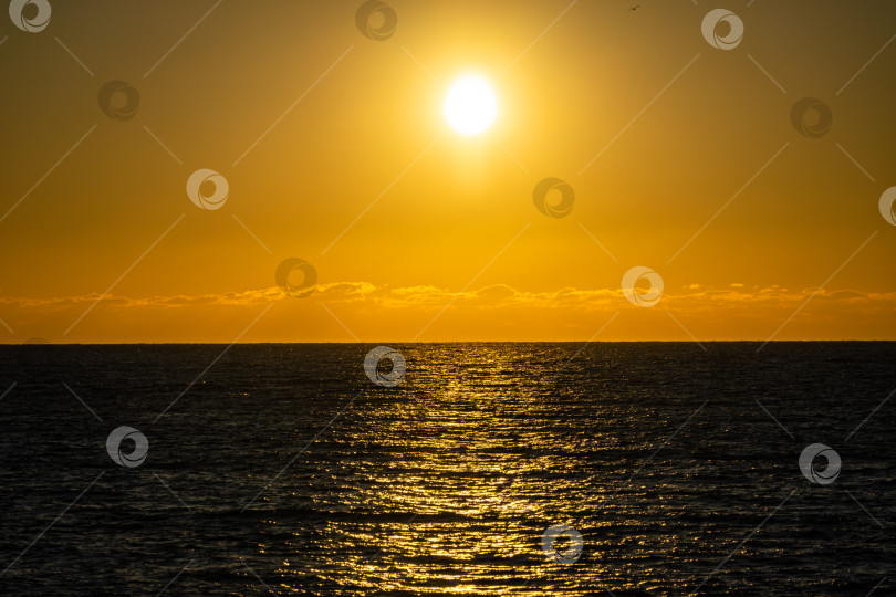 Скачать Закат на Черном море. Вид сверкающей воды в лучах заходящего солнца. Море окрашивается в золотой цвет от солнца. Осенний солнечный вечер в Сочи. Атмосфера отдыха и релаксации фотосток Ozero