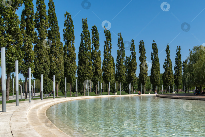 Скачать Городской парк Краснодара, или парк Галицкого. Группа Cupressus sempervirens или средиземноморских кипарисов на набережной парка. Парк для отдыха и прогулок. фотосток Ozero