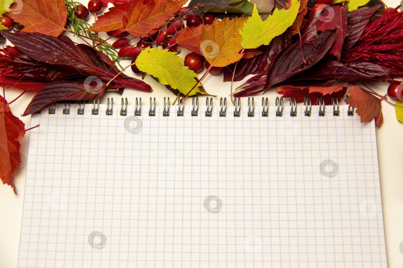 Скачать Осенний фон, вид сверху. Блокнот с белым чистым листом рядом с желтыми осенними листьями. фотосток Ozero