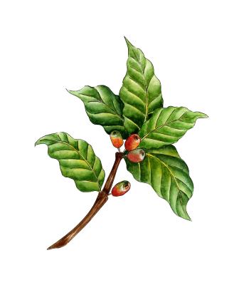 [object Object] undefined