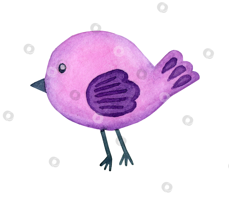 Скачать Фиолетовая каракулевая птичка фотосток Ozero