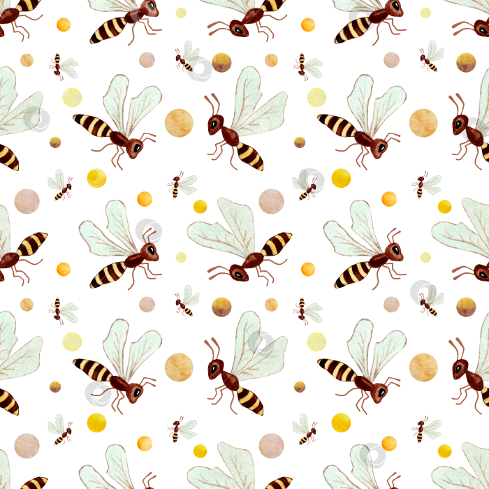 Скачать Рисунок пчелы акварелью фотосток Ozero