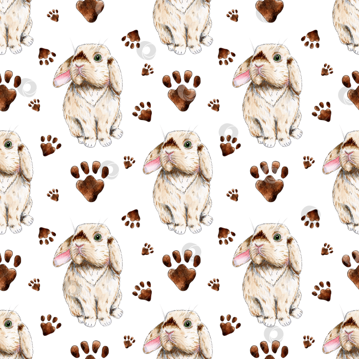 Скачать Рисунок кролика и отпечатки лап акварелью фотосток Ozero