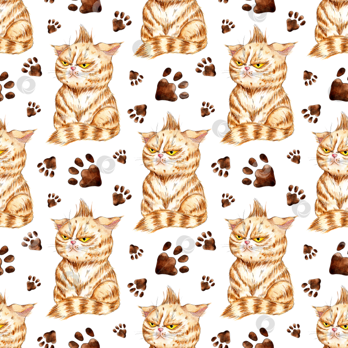 Скачать Рисунок сердитой кошки и отпечатки лап акварелью фотосток Ozero