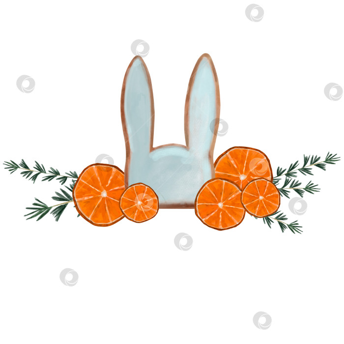 Скачать Весенняя акварельная композиция с кроликом, ушками, апельсинами и веточками розмарина. Кусочки цитрусовых с веточками, пряники, пасхальная композиция фотосток Ozero