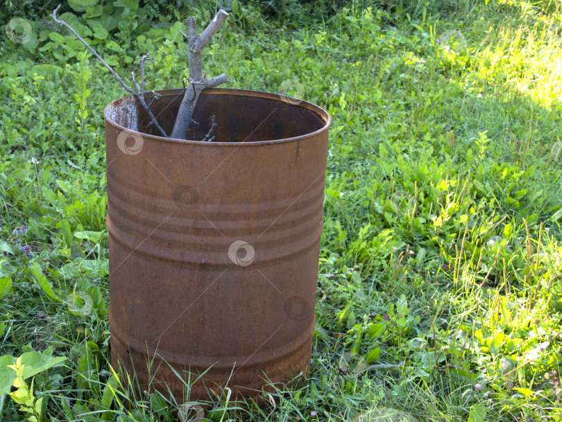 Скачать железная ржавая бочка для компостирования и сжигания веток в саду, экология, сельское хозяйство фотосток Ozero